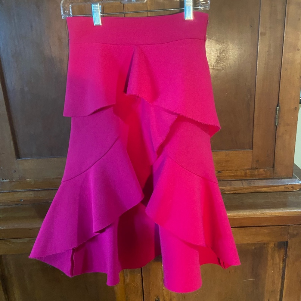 Zara Ruffled Skirt